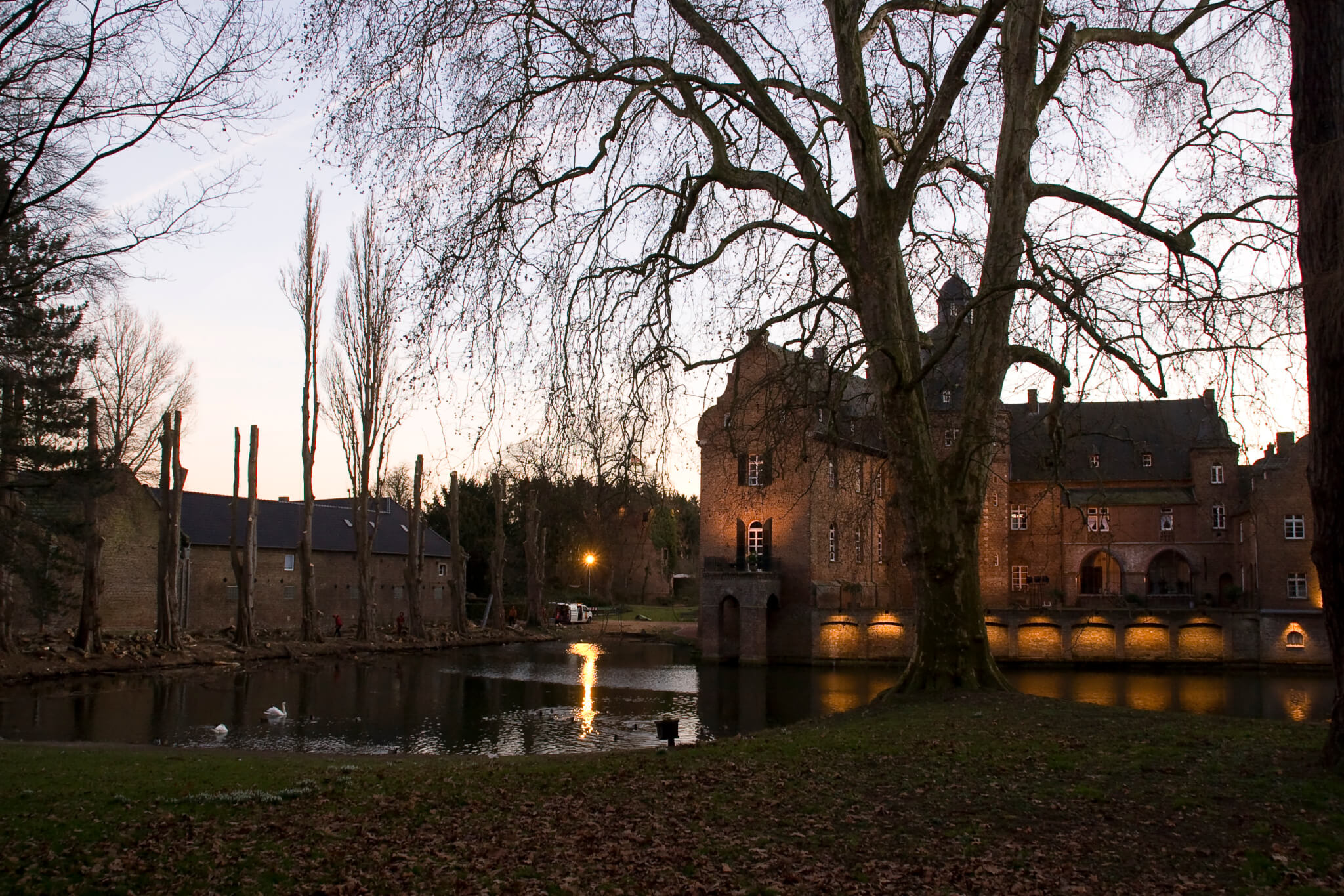 Baumerhaltung Schloßpark Bergerhausen