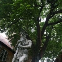 Baumpflege Kronenpflege St. Annen Museum Lübeck