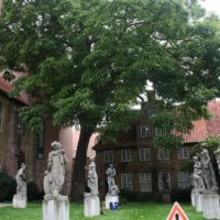 Baumpflege Kronenpflege St. Annen Museum Lübeck 3