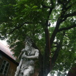 Baumpflege Kronenpflege St. Annen Museum Lübeck
